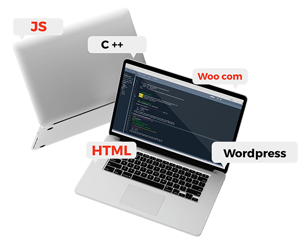 Web Development